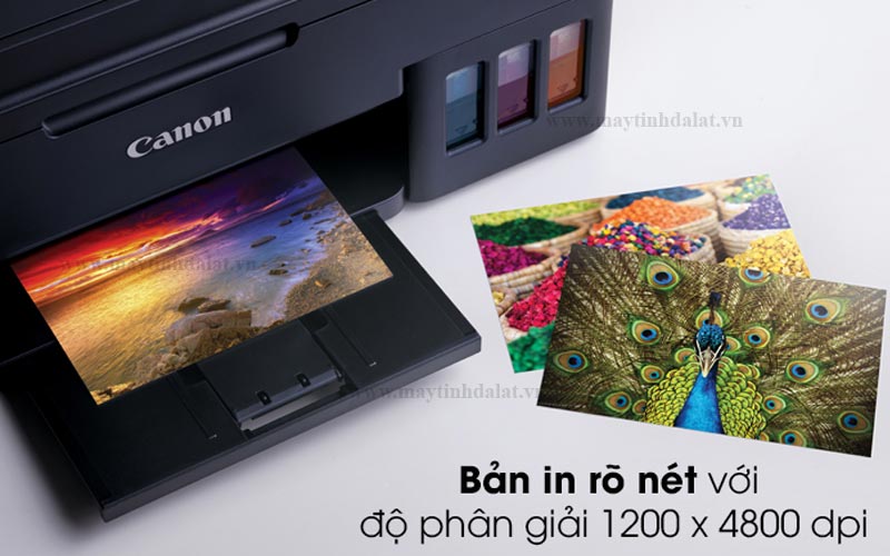 Tính năng in ảnh tràn viền Borderless khổ A4 sắc nét trên Canon G1010
