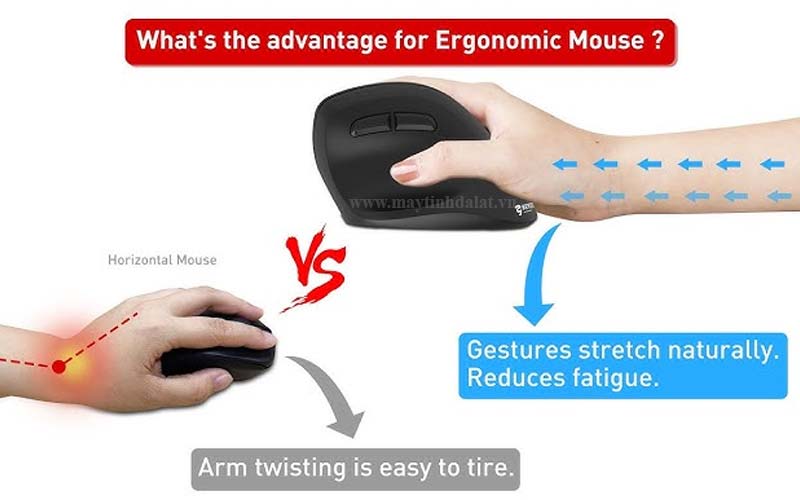 So sánh tư thế cầm chuột công thái học (chuột đứng) và chuột văn phòng tiêu chuẩn