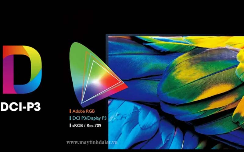 So sánh độ phủ màu 100% sRGB, Adobe RGB và DCI-P3 cho màn hình đồ họa