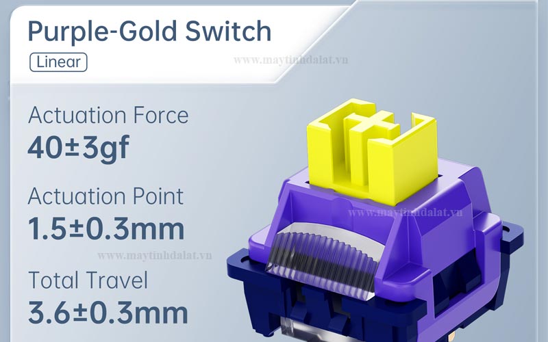 Switch cơ học Purple-Gold pre-lubed mượt mà kết hợp foam cách âm cao cấp
