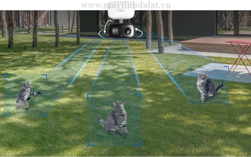 Giao diện ứng dụng Tapo hiển thị tính năng AI phát hiện chuyển động của người và vật nuôi