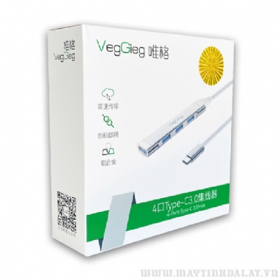 BỘ CHIA TYPE-C RA 4 USB 3.0 VEGGIEG VK303