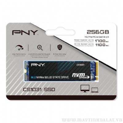 Ổ CỨNG SSD PNY CS1031 256GB M.2 2280 NVME