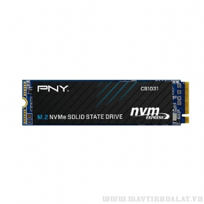 Ổ CỨNG SSD PNY CS1031 500GB M.2 2280 NVME GEN 3 X4