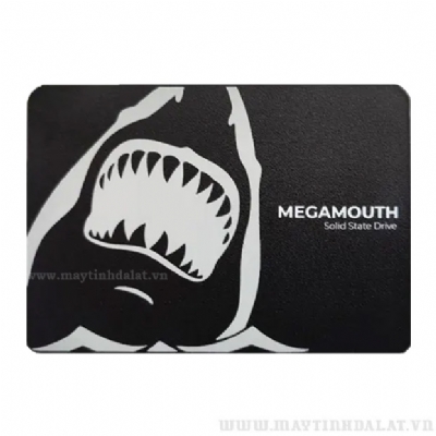 Ổ CỨNG SSD SSTC M100 MEGAMOUTH 256GB SATA 3